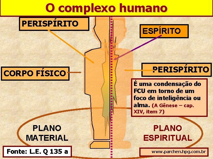 O complexo humano PERISPÍRITO CORPO FÍSICO ESPÍRITO PERISPÍRITO É uma condensação do FCU em
