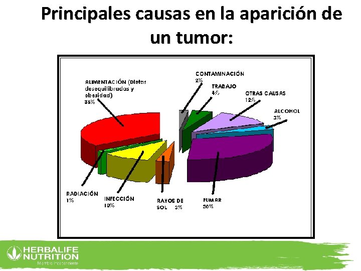 Principales causas en la aparición de un tumor: 3 