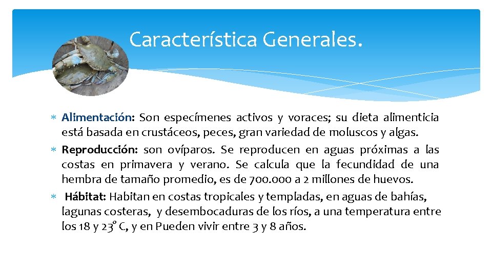 Característica Generales. Alimentación: Son especímenes activos y voraces; su dieta alimenticia está basada en