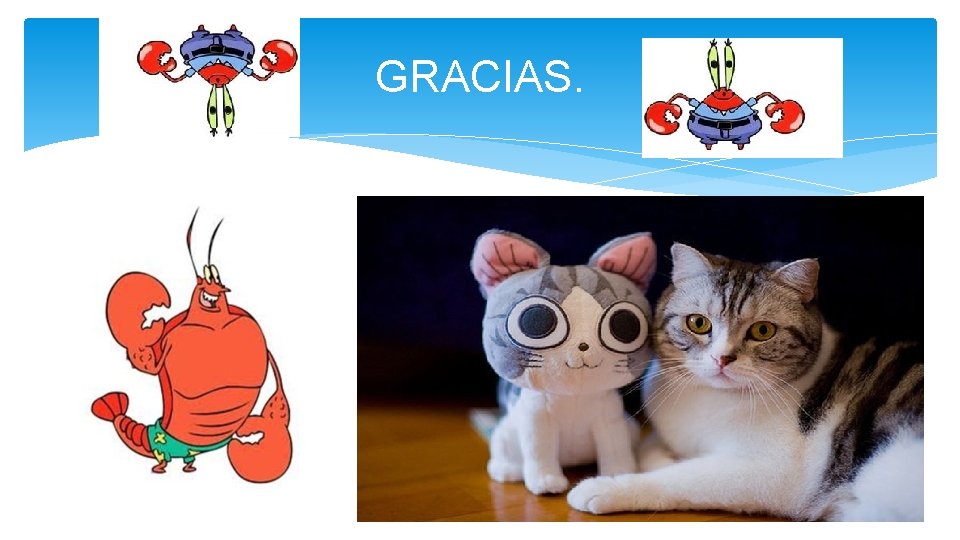GRACIAS. 