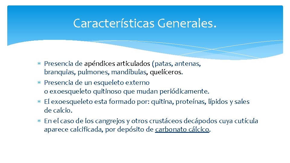 Características Generales. Presencia de apéndices articulados (patas, antenas, branquias, pulmones, mandíbulas, quelíceros. Presencia de