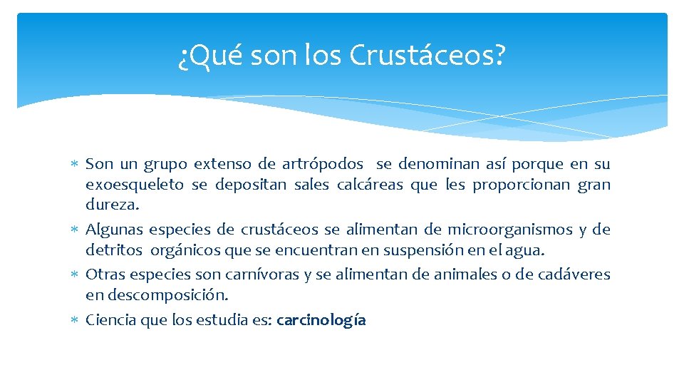 ¿Qué son los Crustáceos? Son un grupo extenso de artrópodos se denominan así porque
