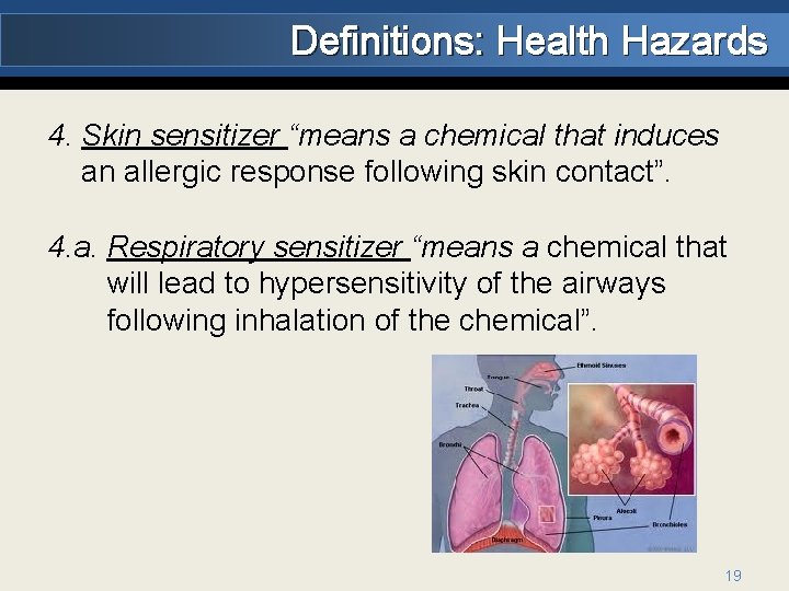 Definitions: Health Hazards 4. Skin sensitizer “means a chemical that induces an allergic response