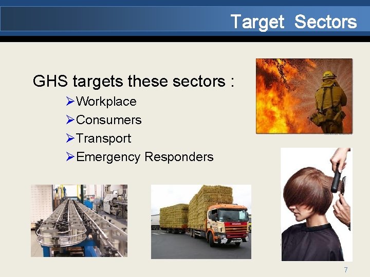Target Sectors GHS targets these sectors : ØWorkplace ØConsumers ØTransport ØEmergency Responders 7 