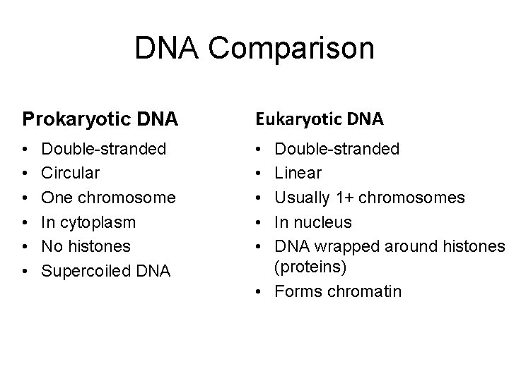DNA Comparison Prokaryotic DNA Eukaryotic DNA • • • Double-stranded Circular One chromosome In
