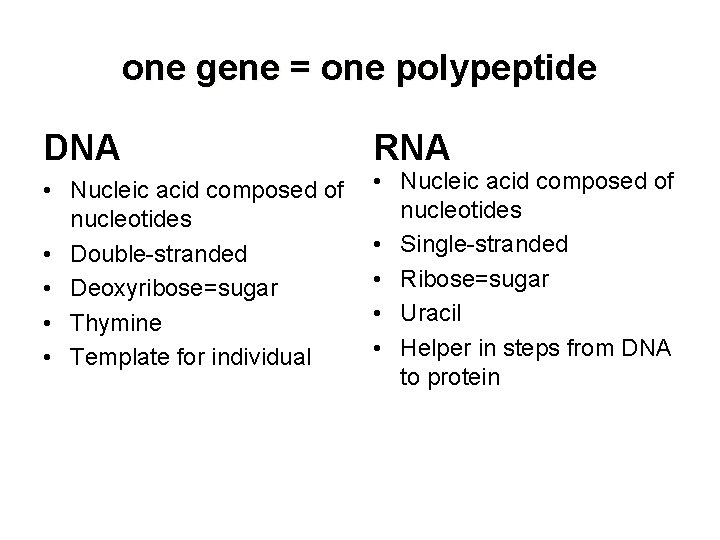 one gene = one polypeptide DNA • Nucleic acid composed of nucleotides • Double-stranded