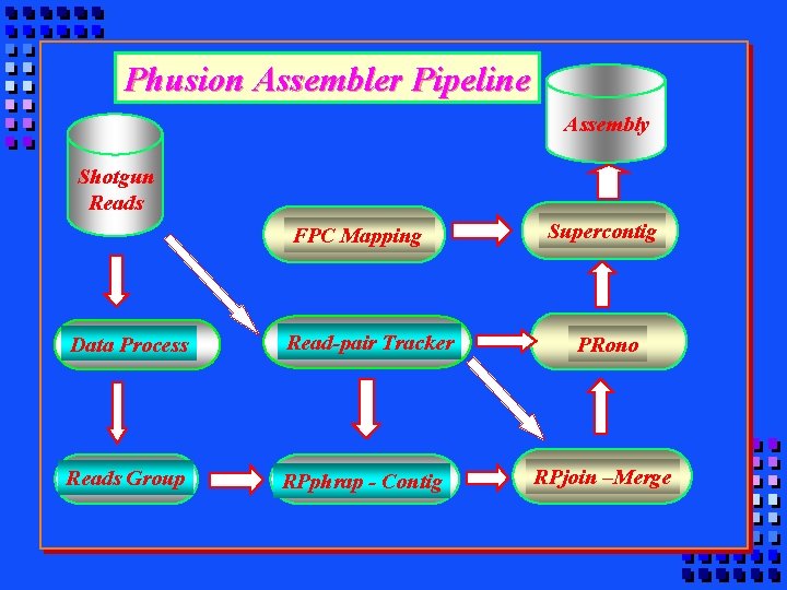 Phusion Assembler Pipeline Assembly Shotgun Reads FPC Mapping Data Process Read-pair Tracker Reads Group