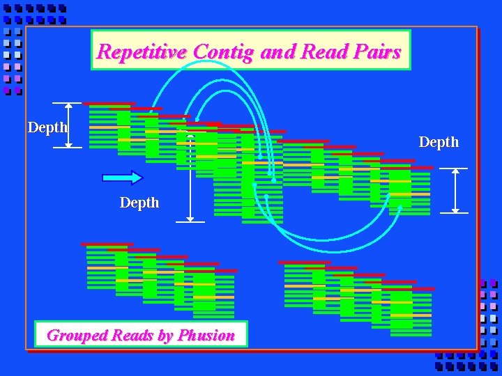 Repetitive Contig and Read Pairs Depth Grouped Reads by Phusion 