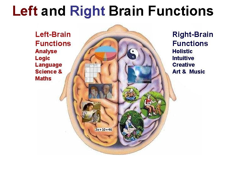 Left and Right Brain Functions Left-Brain Functions Right-Brain Functions Analyse Logic Language Science &
