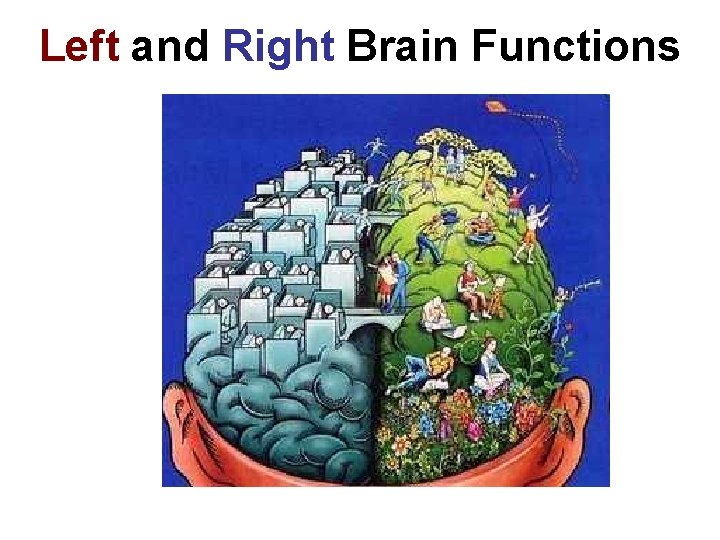 Left and Right Brain Functions 
