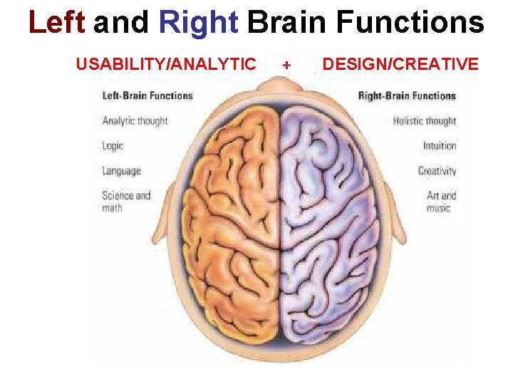 Left and Right Brain Functions USABILITY/ANALYTIC DESIGN/CREATIVE 