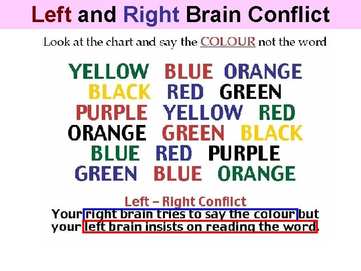 Left and Right Brain Conflict 