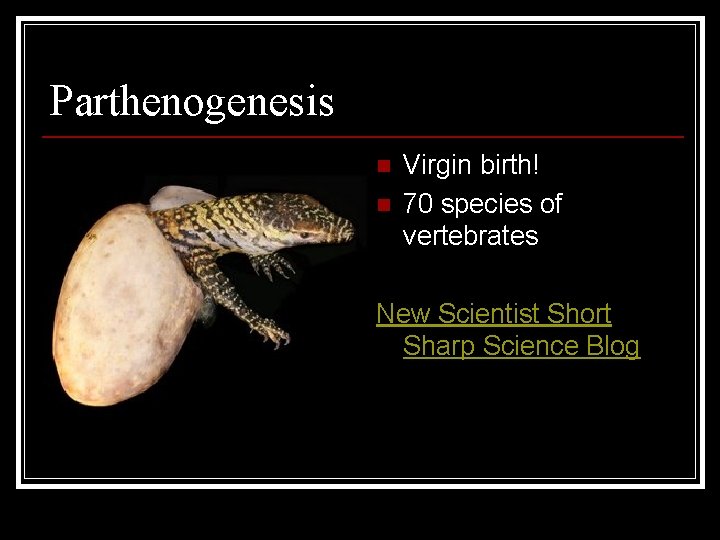 Parthenogenesis n n Virgin birth! 70 species of vertebrates New Scientist Short Sharp Science