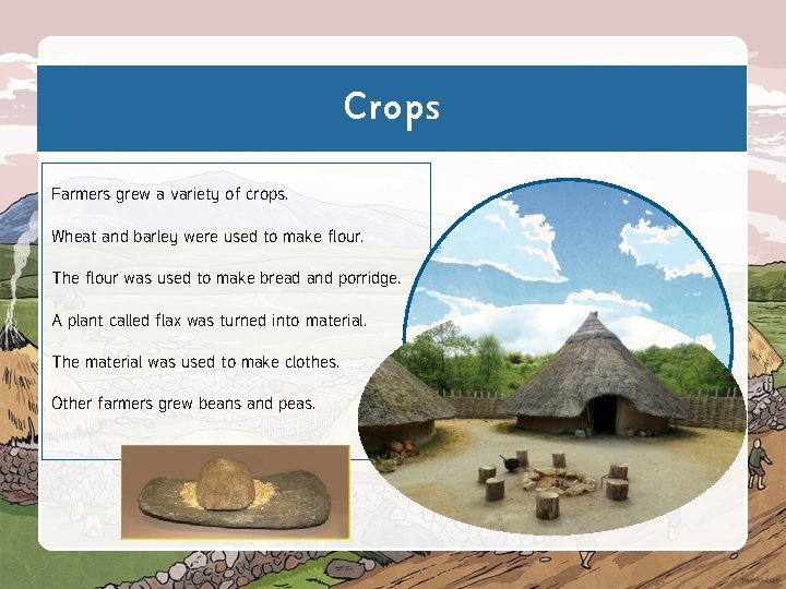Crops Farmers grew a variety of crops. Wheat and barley were used to make