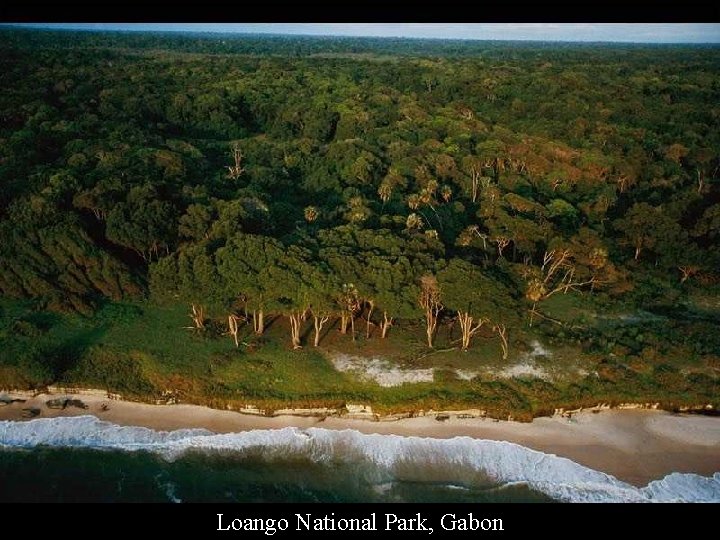 Loango National Park, Gabon 