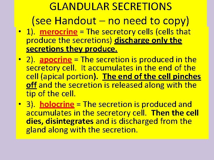 GLANDULAR SECRETIONS (see Handout – no need to copy) • 1). merocrine = The