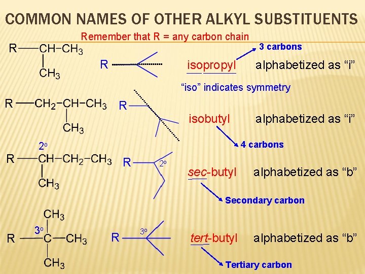 COMMON NAMES OF OTHER ALKYL SUBSTITUENTS Remember that R = any carbon chain R