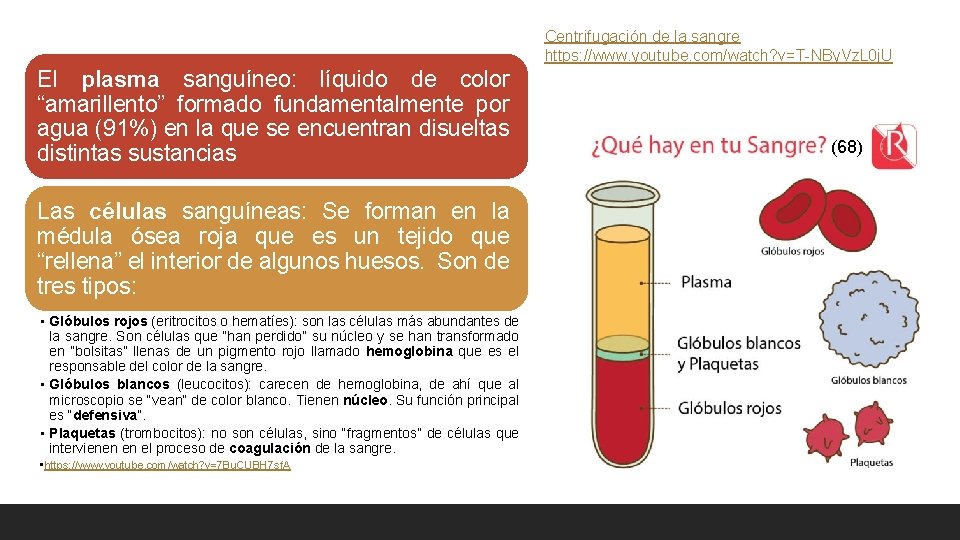 Centrifugación de la sangre https: //www. youtube. com/watch? v=T-NBy. Vz. L 0 j. U