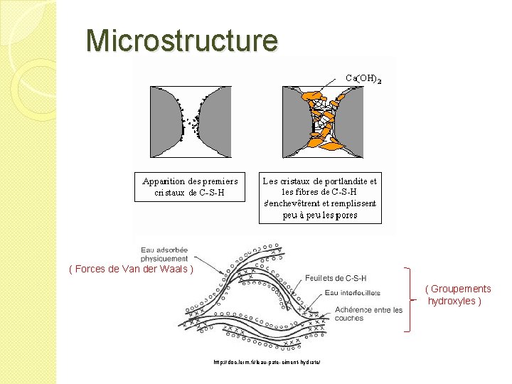 Microstructure ( Forces de Van der Waals ) ( Groupements hydroxyles ) http: //doc.