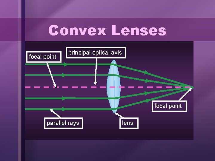 Convex Lenses focal point principal optical axis focal point parallel rays lens 