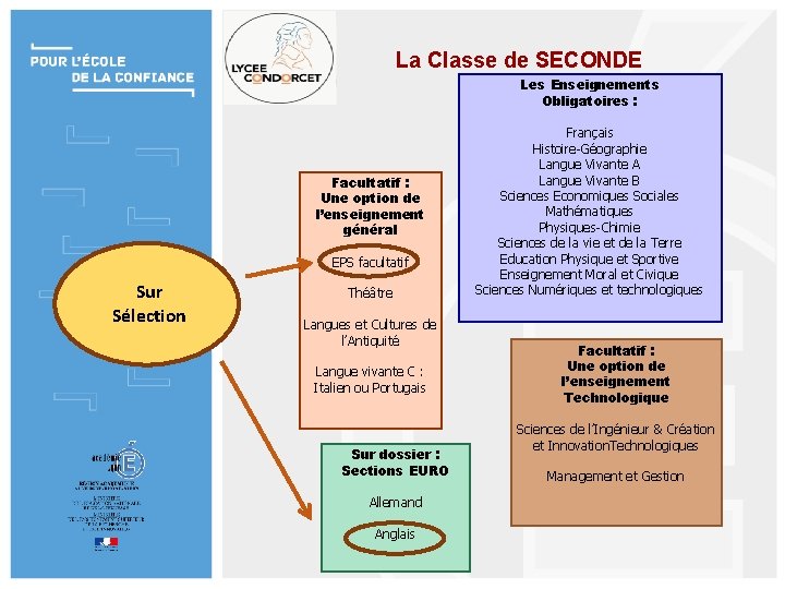 La Classe de SECONDE Les Enseignements Obligatoires : Facultatif : Une option de l’enseignement