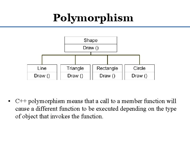Polymorphism • C++ polymorphism means that a call to a member function will cause