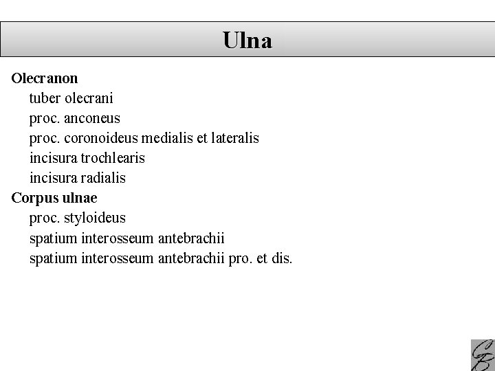 Ulna Olecranon tuber olecrani proc. anconeus proc. coronoideus medialis et lateralis incisura trochlearis incisura
