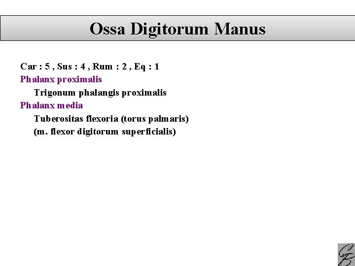 Ossa Digitorum Manus Car : 5 , Sus : 4 , Rum : 2