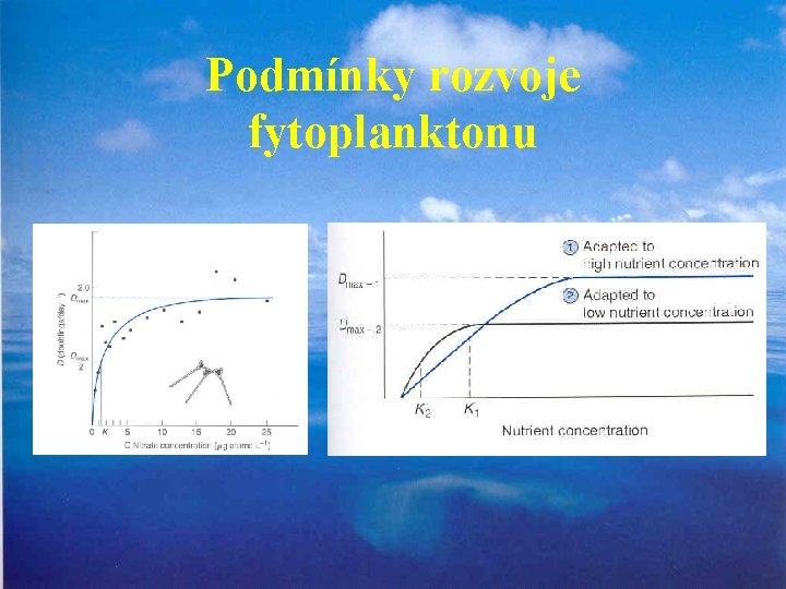 Podmínky rozvoje fytoplanktonu 