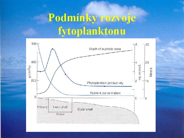 Podmínky rozvoje fytoplanktonu 