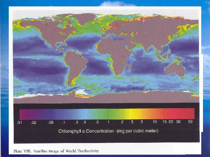 Distribuce primární produkce v oceánech 