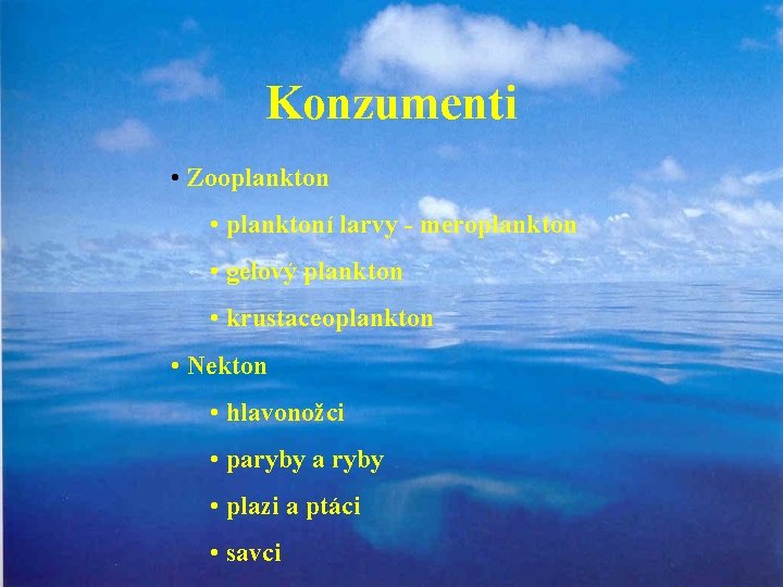 Konzumenti • Zooplankton • planktoní larvy - meroplankton • gelový plankton • krustaceoplankton •