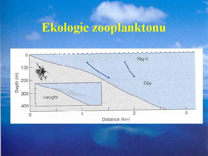 Ekologie zooplanktonu 