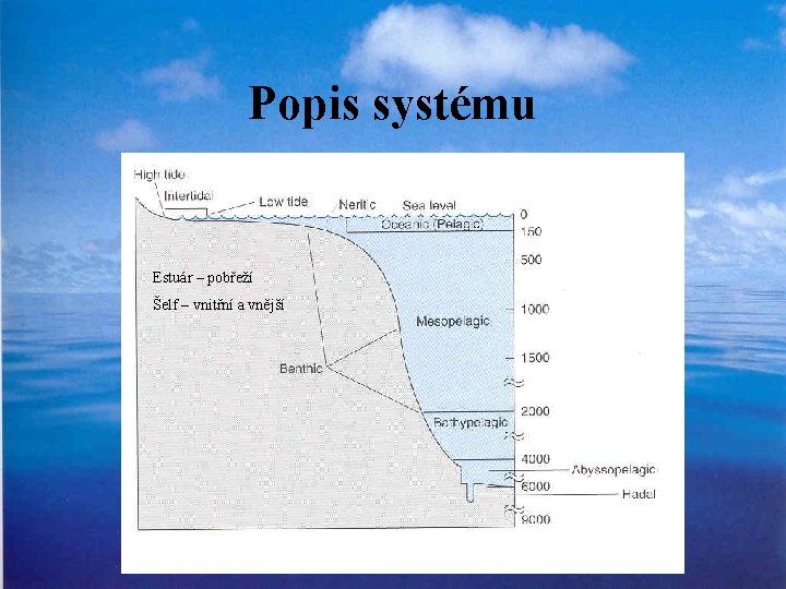 Popis systému Estuár – pobřeží Šelf – vnitřní a vnější 