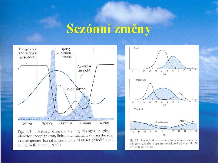 Sezónní změny 