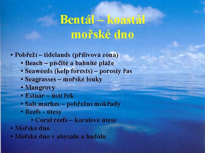Bentál – koastál mořské dno • Pobřeží – tidelands (přílivová zóna) • Beach –