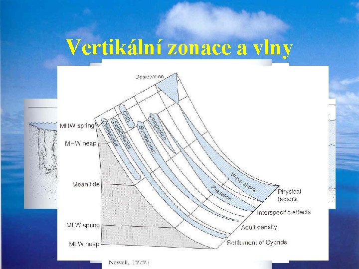 Vertikální zonace a vlny 