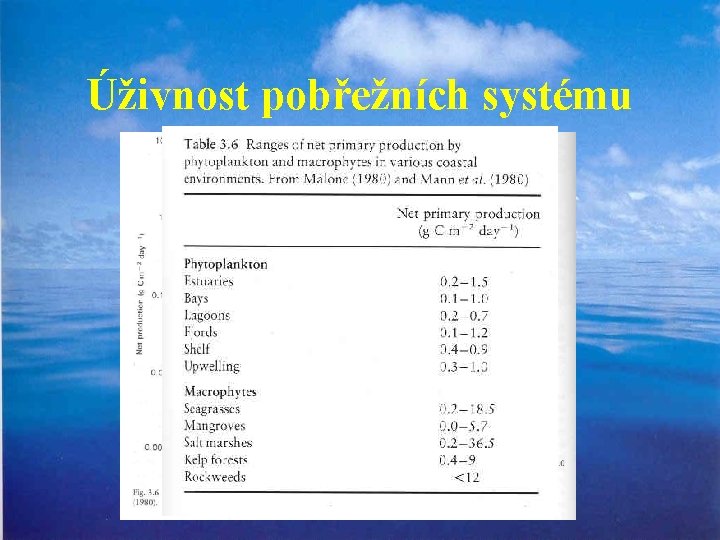 Úživnost pobřežních systému 