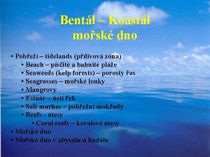 Bentál – Koastál mořské dno • Pobřeží – tidelands (přílivová zóna) • Beach –