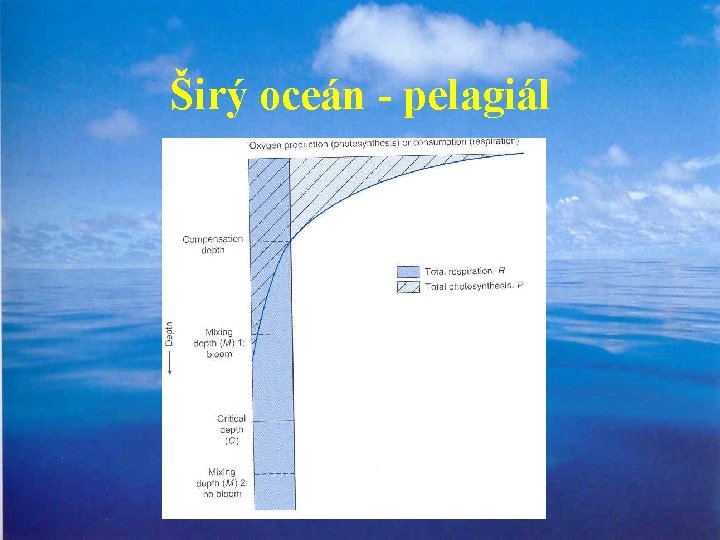 Širý oceán - pelagiál 