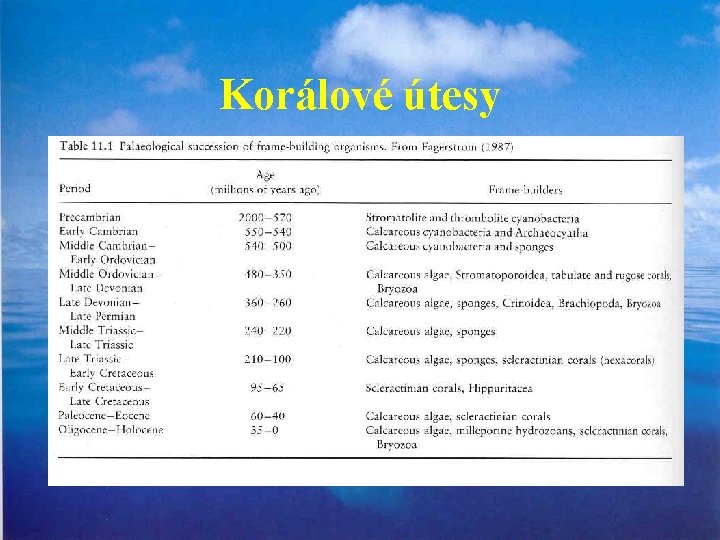 Korálové útesy 