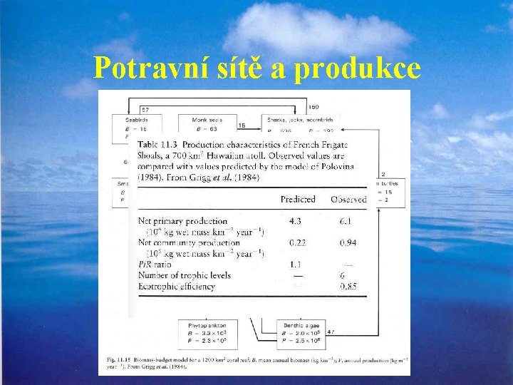 Potravní sítě a produkce 