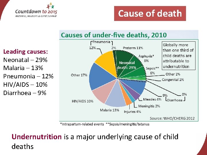 Cause of death Leading causes: Neonatal – 29% Malaria – 13% Pneumonia – 12%
