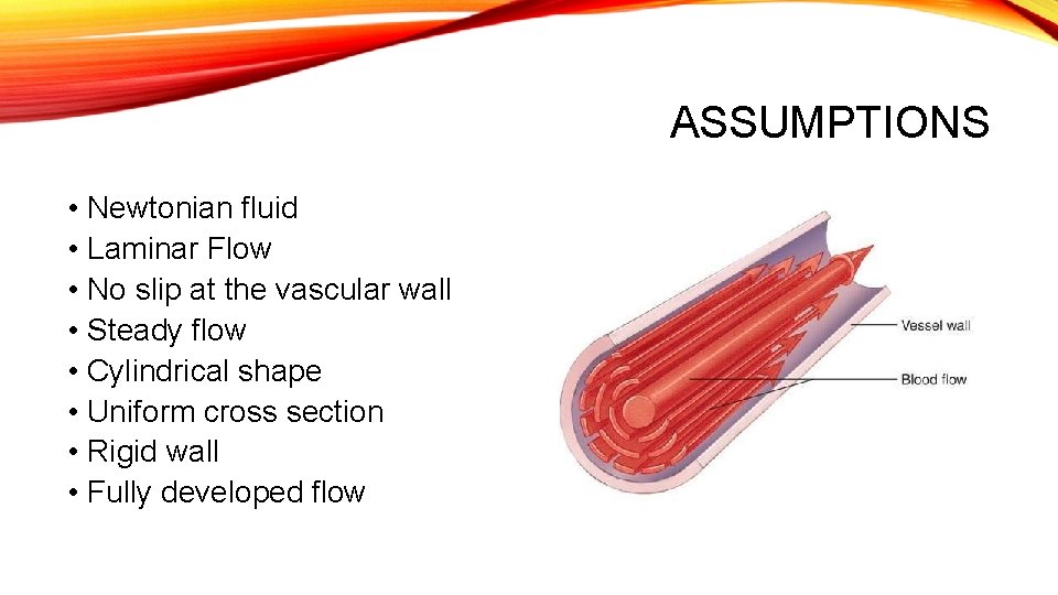 ASSUMPTIONS • Newtonian fluid • Laminar Flow • No slip at the vascular wall