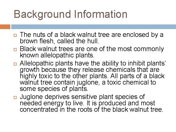 Background Information The nuts of a black walnut tree are enclosed by a brown