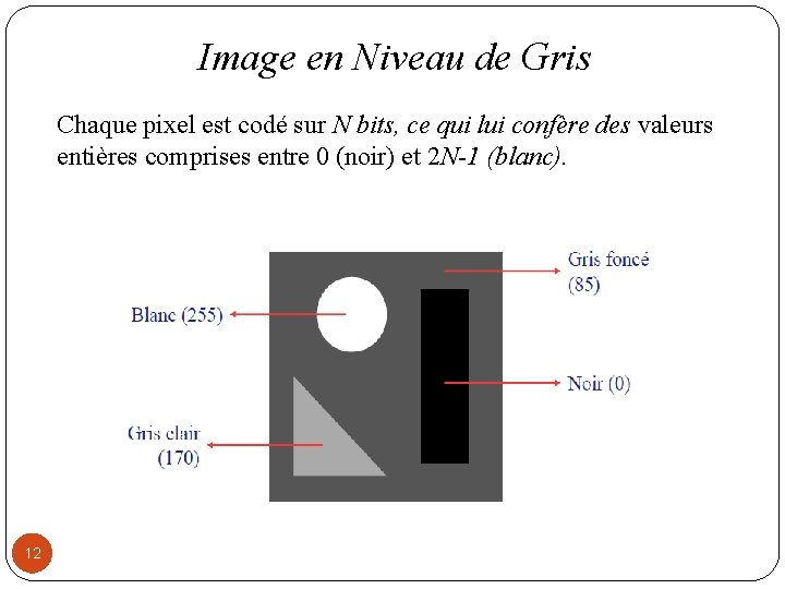 Image en Niveau de Gris Chaque pixel est codé sur N bits, ce qui