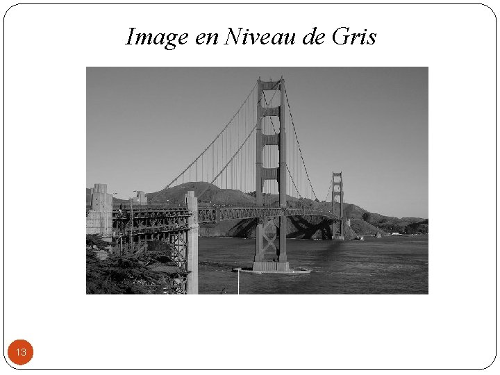 Image en Niveau de Gris 13 