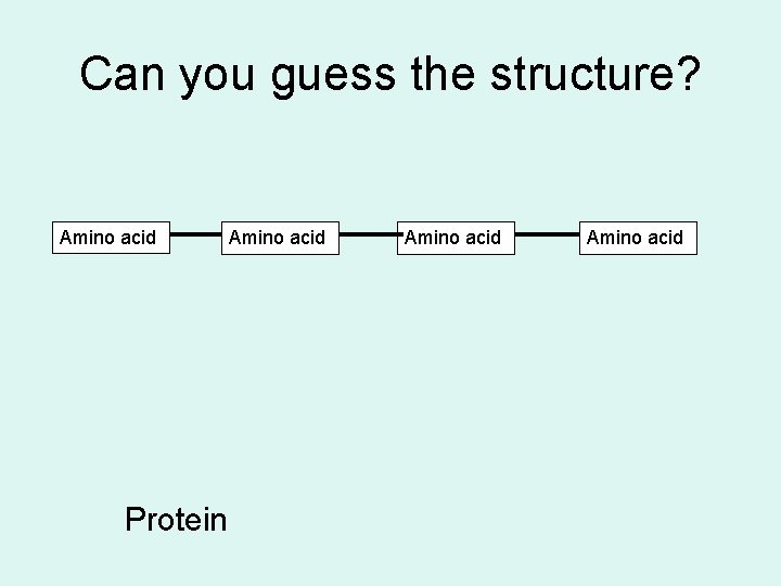 Can you guess the structure? Amino acid Protein Amino acid 