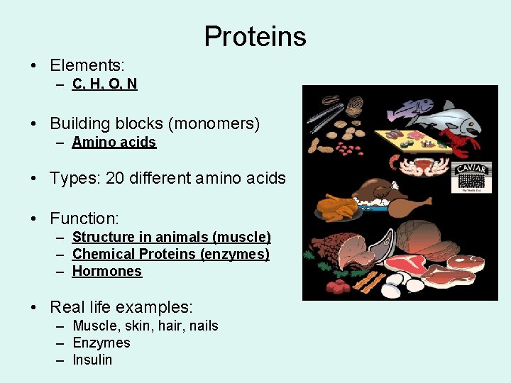 Proteins • Elements: – C, H, O, N • Building blocks (monomers) – Amino
