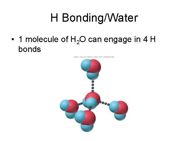 H Bonding/Water • 1 molecule of H 2 O can engage in 4 H
